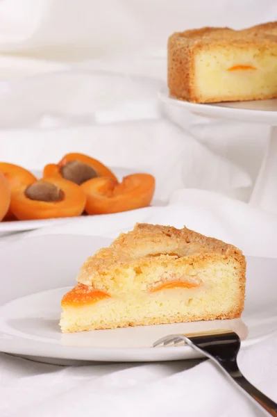 Tranche de tarte à l'abricot — Photo