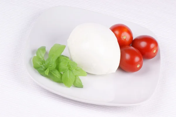 Mozzarella peyniri, fesleğen ve kiraz domates — Stok fotoğraf