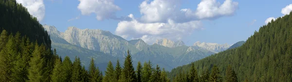 Stock image Summer mountain landscape