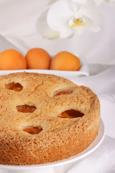 Абрикосовый пирог — стоковое фото