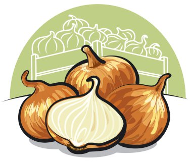 Fresh onions clipart