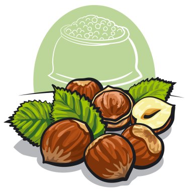 Hazelnuts clipart