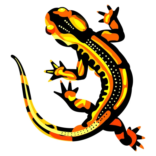 stock vector Yellow spotted lizard