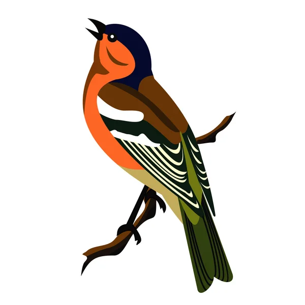 Finch singing bird — Stock Vector