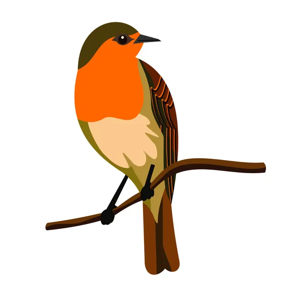 Robin bird — Stock Vector
