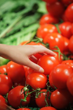 Tomatoes at the market clipart