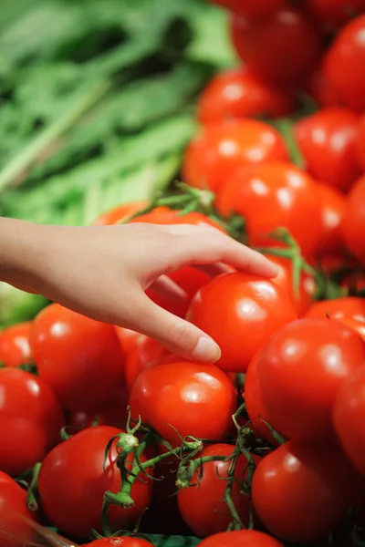 Tomaten op de markt — Stockfoto