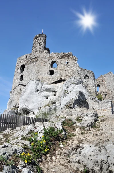 Castelo — Fotografia de Stock