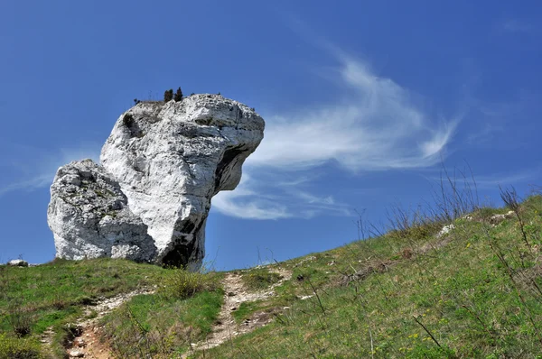 Kalksteen rots — Stockfoto