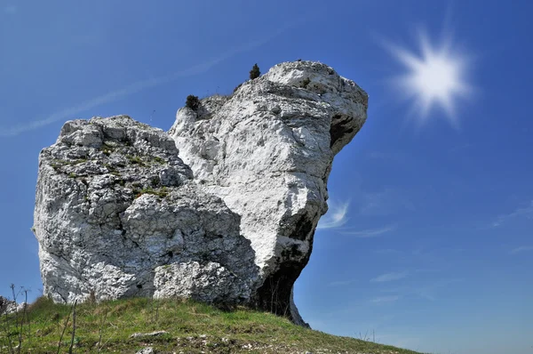 Limestone rock — Stock Photo, Image