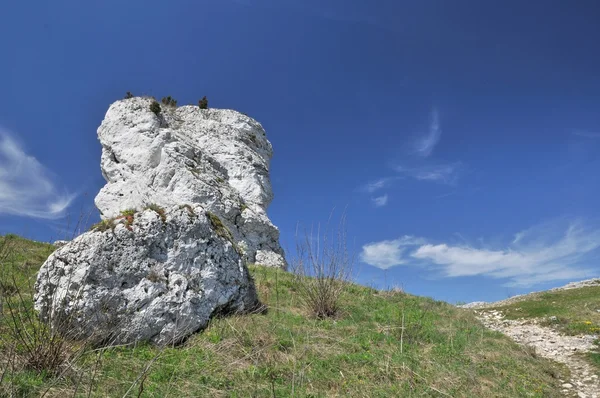 Limestone rock — Stock Photo, Image