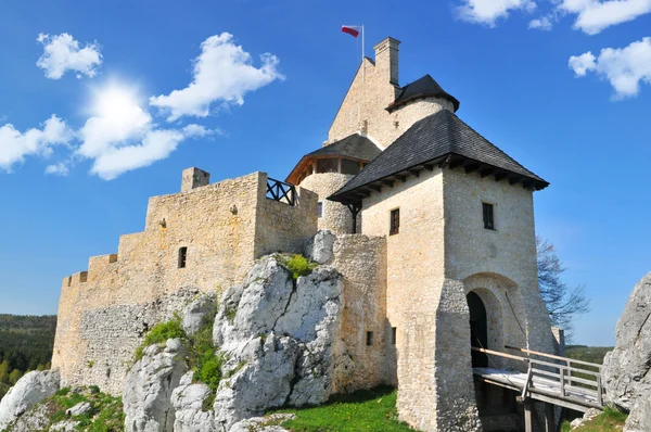 Middeleeuws kasteel — Stockfoto
