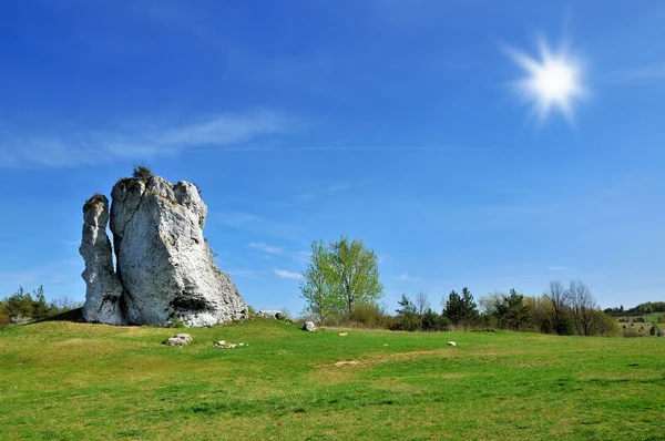 石灰岩の岩 — ストック写真