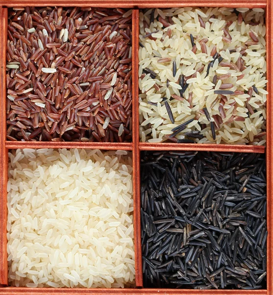 Коллекция риса — стоковое фото
