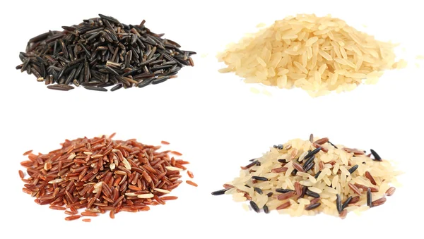 Rice collection — Stock Photo, Image