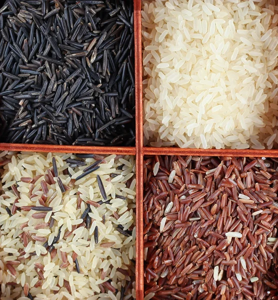 Rijst-collectie — Stockfoto