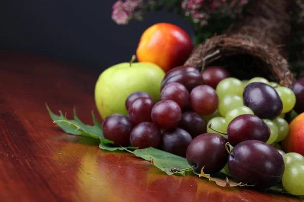 Fruta cornucopia — Foto de Stock