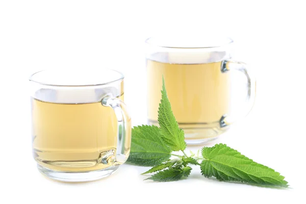 stock image Nettle tea