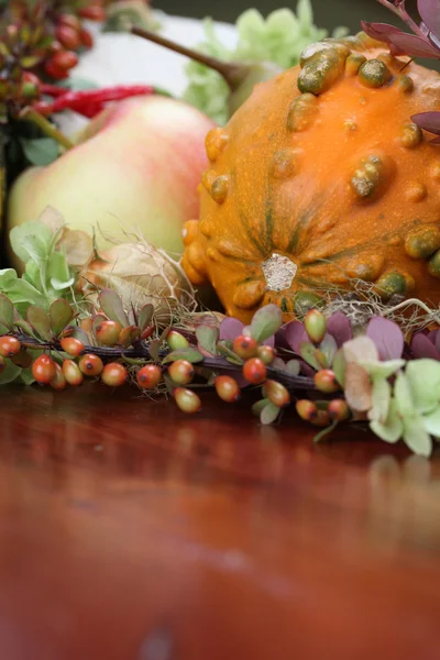 Układ jesienny z dyniami — Zdjęcie stockowe