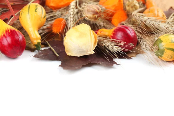Granicy jesień kolorowy dynie — Zdjęcie stockowe