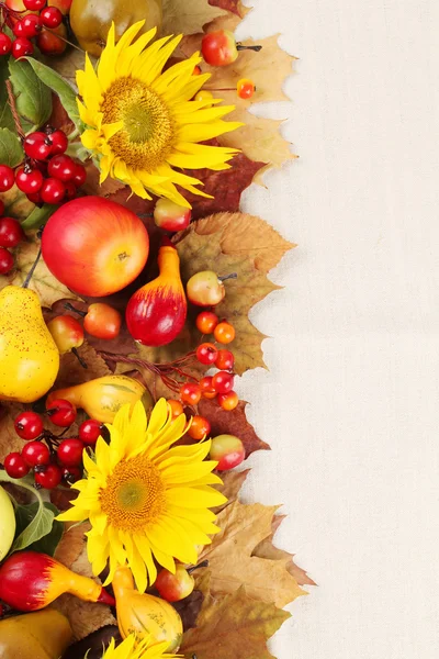 Őszi gyümölcsök, a sütőtök és a napraforgó keret — Stock Fotó