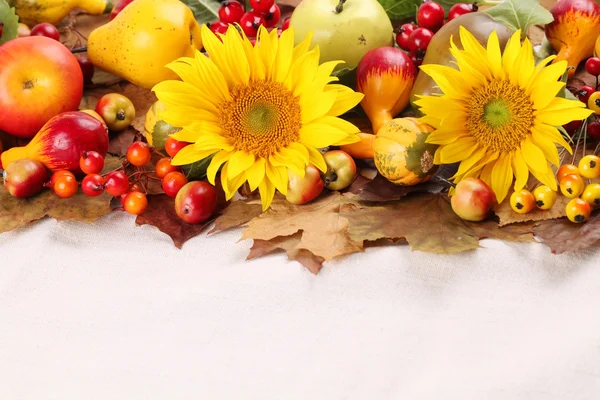 Autumn frame with fruits, pumpkins and sunflowers — Stock Photo, Image