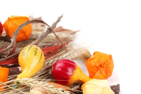 Осенний натюрморт с красочными тыквами — стоковое фото
