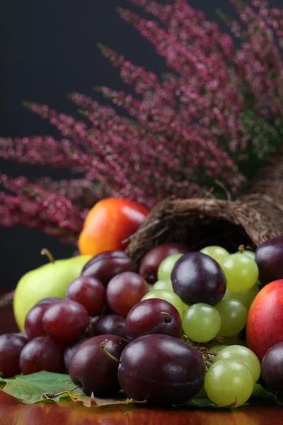 Róg obfitości owoców — Zdjęcie stockowe