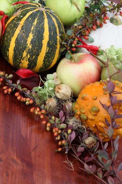 Autumn arrangement with pumpkins — Stock Photo, Image