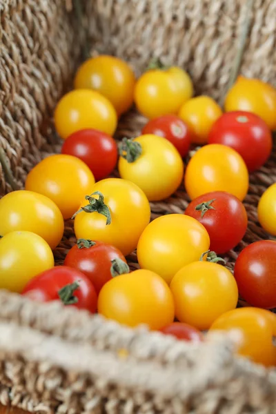 Желтые и красные помидоры черри — стоковое фото