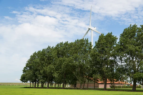 Terras agrícolas holandesas com fazenda e turbina eólica — Fotografia de Stock