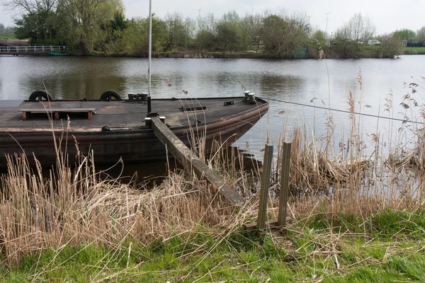 Velho cargueiro de ferro ancorado em um rio ao longo da vegetação de cana — Fotografia de Stock