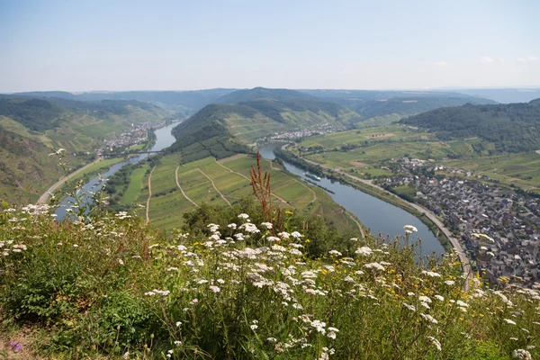 Bend of the Moselle rover near Bremm, Germany — Stock Photo, Image