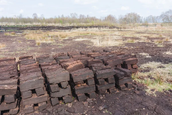 stock image Peat digging in Dutch rural landscape