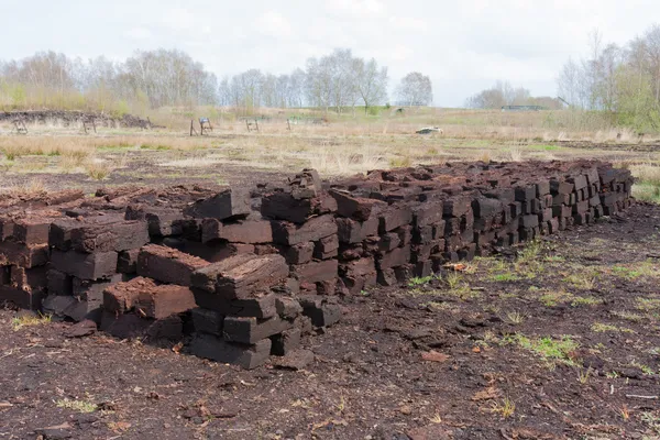 泥炭のオランダの農村風景の掘ること ロイヤリティフリーのストック画像