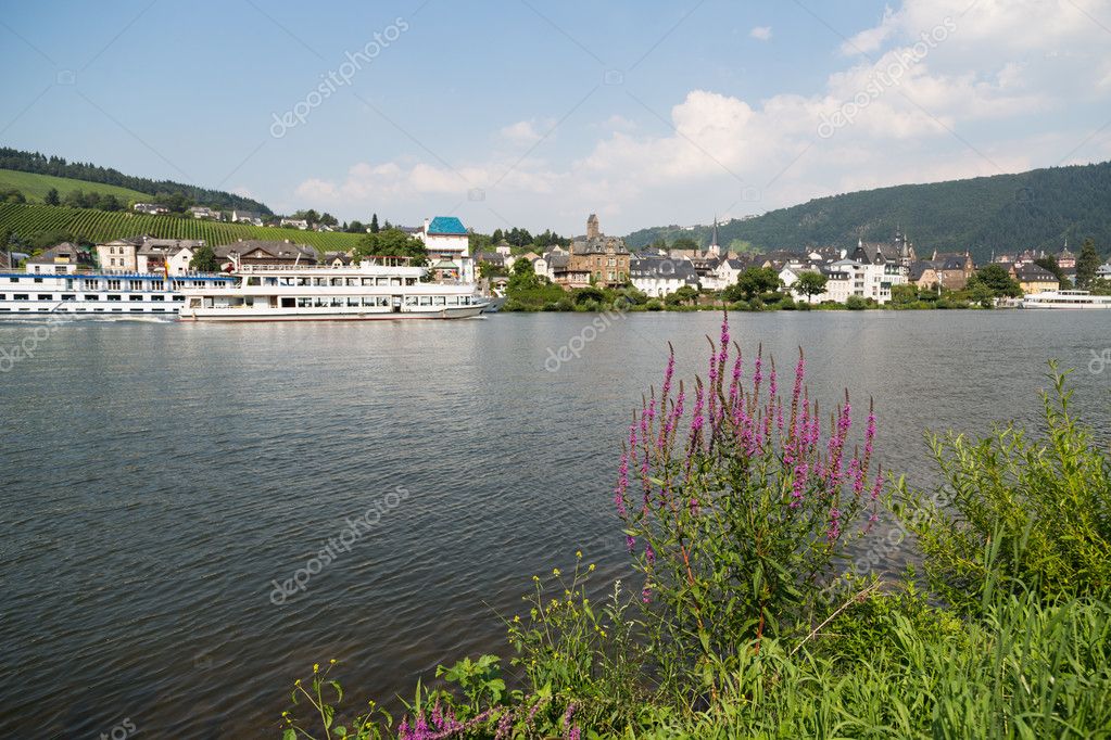 Crucero Rio Mosela Cruceros Cerca De Traben Trarbach En El Rio Mosela En Aleman Foto De Stock C Kruwt 1696