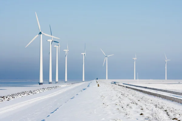 Larga hilera de aerogeneradores en un paisaje invernal holandés — Foto de Stock