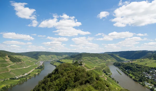 Paysage avec la Moselle en Allemagne — Photo