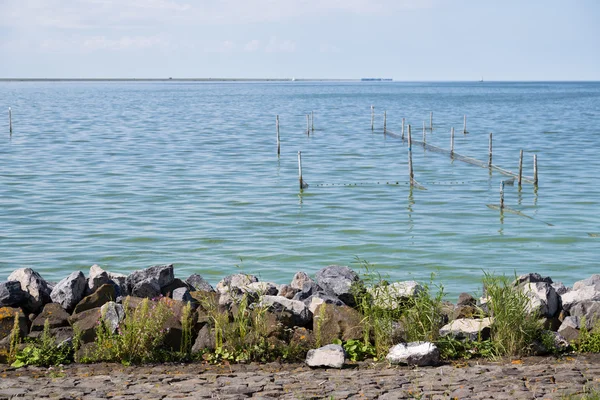 Голландский волнолом с рыболовецкими сетями у берега — стоковое фото