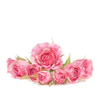 Bouquet of beautiful flowers on white background. clipart