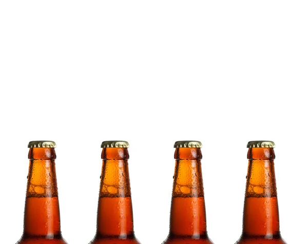 Beer background — Stock Photo, Image