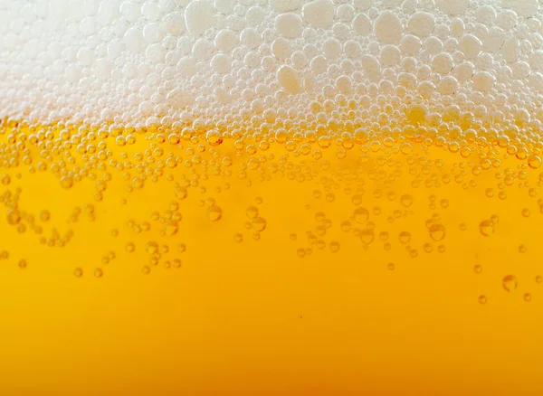 라이트 맥주 배경 — 스톡 사진