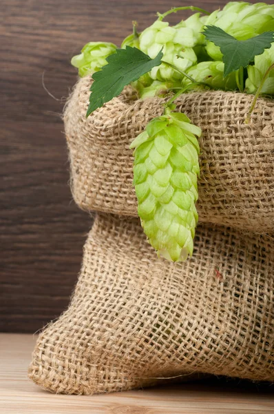 Hop in a burlap bag on wooden background — Stock Photo, Image