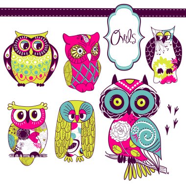 Owls clipart