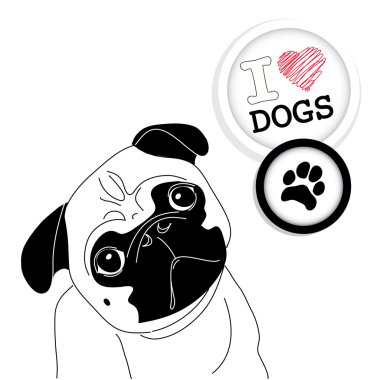 I love Pugs! clipart