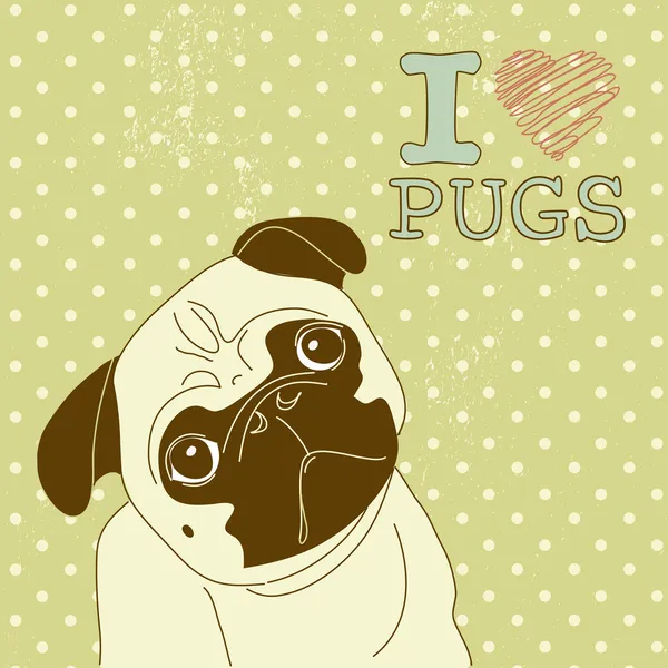 I love Pugs! — Stock Vector