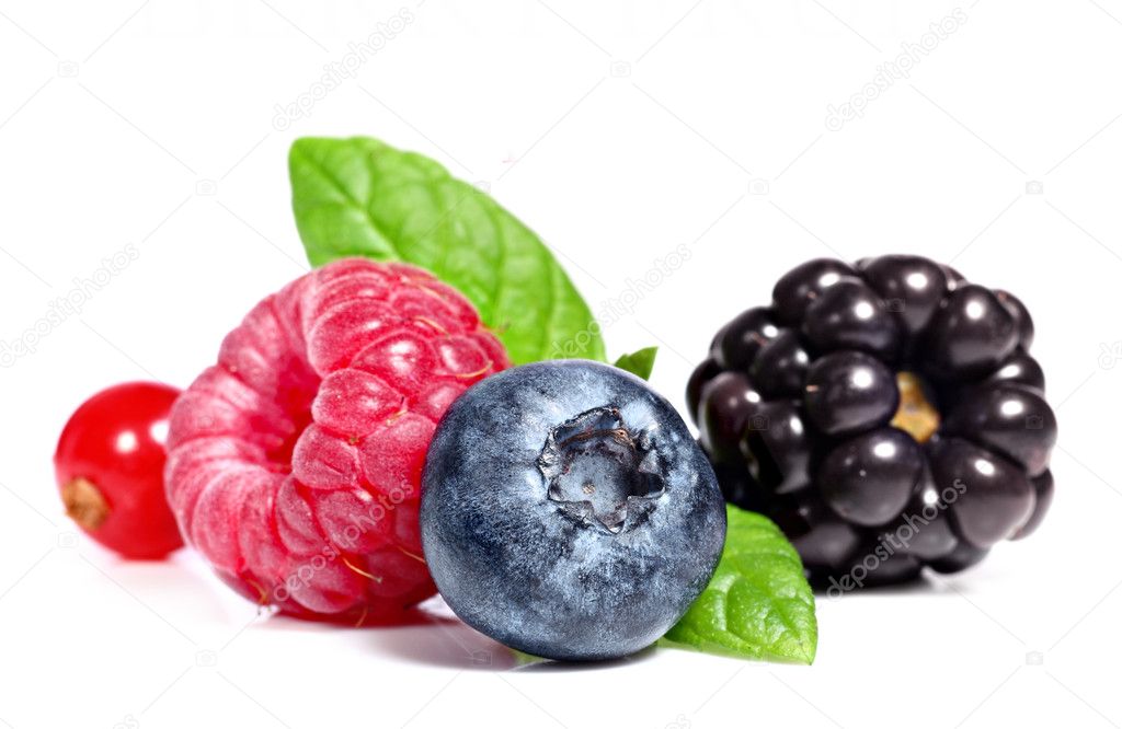 Berry fruit — Stock Photo © Pics4ads 11551820