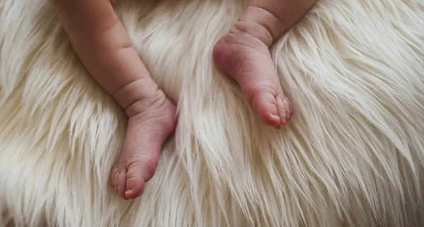 Detalj av fötter på en nyfödd över en hår-filt Royaltyfria Stockbilder