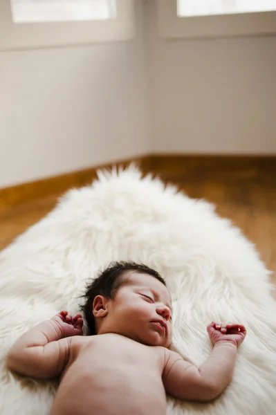 Söta nyfödda sover i en vit matta Stockbild