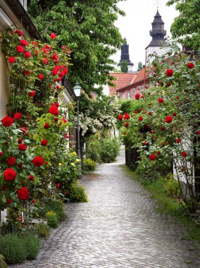 Alley of Roses clipart